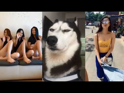 【搞笑短视频】都是搞笑人才！笑死人不偿命系列！第二十一波！#LikeaBossCompilation2018