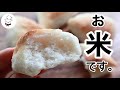 家にある米で作る【生米パン】最も簡単で美味しい作り方｜オーブン不使用｜サイリウムレシピ｜グルテンフリー｜小麦粉動物性食品不使用｜トースターやフライパンで｜オオバコダイエット｜料理研究家　料理教室の先生
