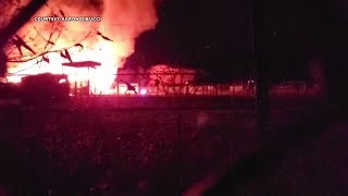 Barn Fire at African Safari Wildlife Park in Ohio Kills 10 Animals