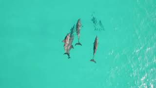 Sailing Maldives - Haa Alif & Ihavandhippolhu Atoll