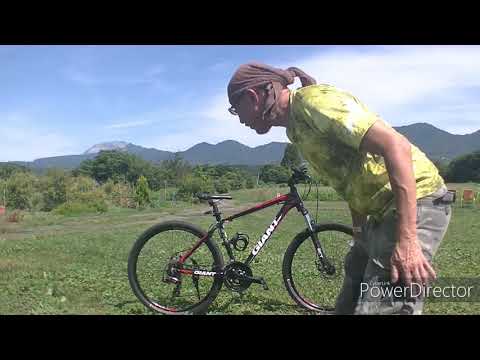 蒜山高原カルチベート観光ブルーベリー園の紹介動画サムネイル
