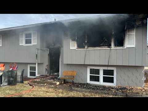2 dogs die in Norwalk house fire, only resident escaped uninjured - YouTube