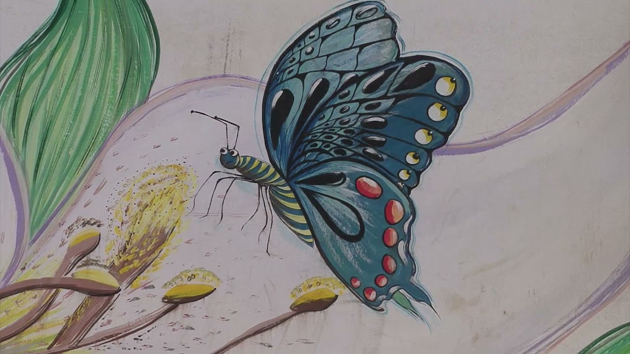 Dahab Egypt    Assala  Sina market Street