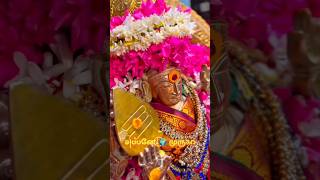 🔥maruthamalai Sathiyama Un Arupadai Shanmuga | 💖 TamilDevotional GodStatus! | VelMurugan Magic ✨