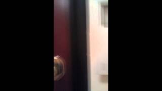 LeBron James surprise visit