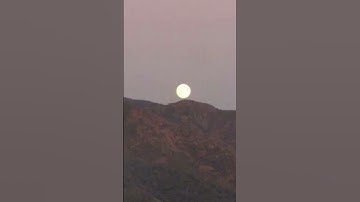 Thumbnail of Ekaterina Shelehova - Awaking by - Earth melodies