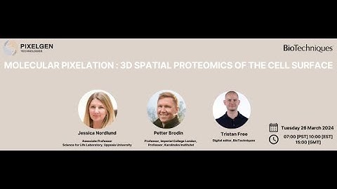 Molecular Pixelation 3D spatial proteomics of the cell surface