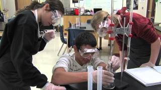 The Honors Program