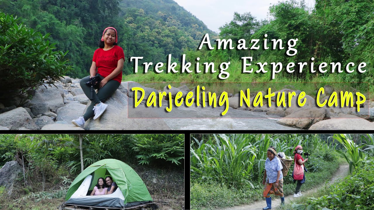 Darjeeling Nature Camp || Best Offbeat Outskirts Destination || Amazing Trekking || Darjeeling Tour