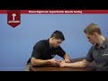 Flexor Digitorum Superficialis Muscle Test Palpation Dr Vizniak Muscle Manual