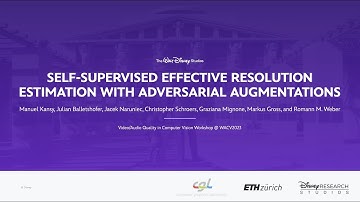 Self-Supervised Effective Resolution Estimation with Adversarial Augmentations