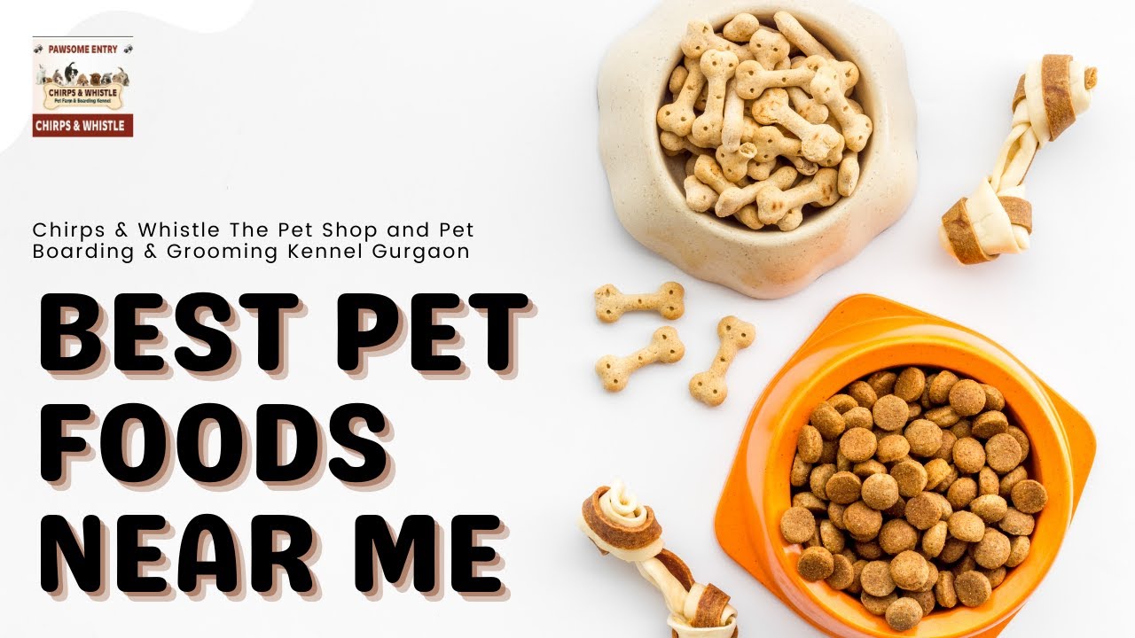 Chirps & Whistle The Pet Shop Providing the Best Pet Foods Near Me