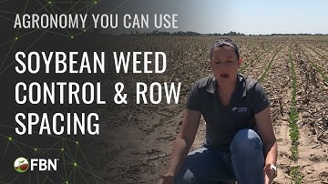 Herbicide Isn’t The Only Way: Soybean Weed Control & Row Spacing