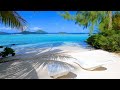 Hidden Gem Of Bora Bora Relaxing At Beautiful Fare Ahuna Hidden Gem Of Bora Bora Relaxing At Beautiful Fare Ahuna