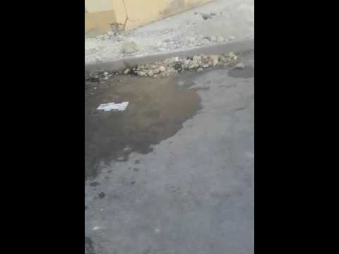 شعب غليزان مقود