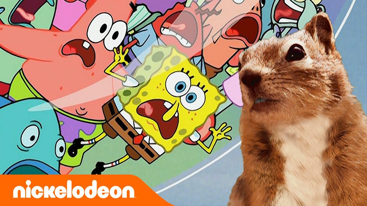 ⁣Bob l'éponge | Bob l’éponge sauve Sandy ! | Nickelodeon France