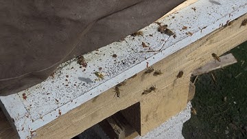 Overwinter nuc Experiment Update