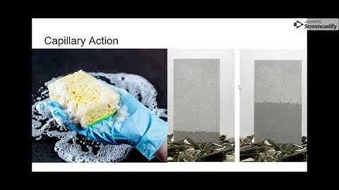 Freshwater and Water Cycle Vocabulary - Google Slides