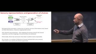 A mathematical framework to study the contribution of neural codes to behaviour