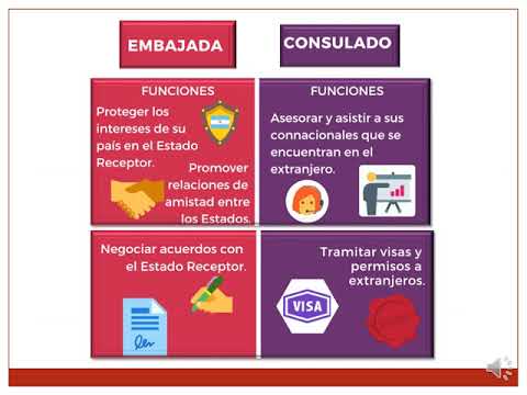 Video: Oficinas consulares y sus tipos