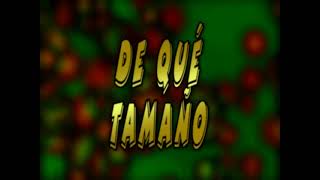 De Qué Tamaño - Galileo Y Su Banda Al Estilo De Hector Lavoe - Karaoke