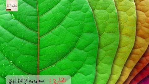 من أروع ما ستسمعه - القارئ سعيد دباح الجزائري