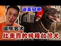 【精華版】國際名犬選美冠軍！比車貴的純種台灣犬