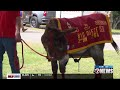 Best Redleg competition underway at Fort Sill