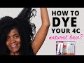HOW TO SAFELY DYE 4B/C NATURAL HAIR BLACK | RESTORE MOISTURE | STRENGTHEN HAIR