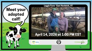 Laggis Farm - Adopt A Cow Live Chat 2026