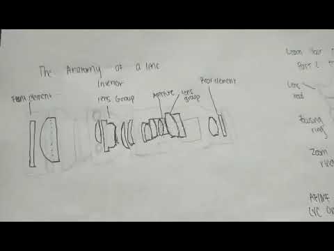 Lab Activity #9