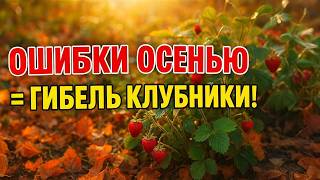 картинка: Хотите Здоровую Клубнику Весной? Не повторяйте этих осенних ошибок!