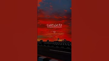 لا تهرب من القرآن الكريم ♥️ #اكسبلور #قران_كريم #foryou #قرآن