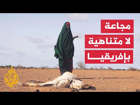 الأغذية العالمي: لا توجد نهاية لأزمة الجفاف في القرن الإفريقي