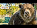 Maple leaf  au bord de leau  carrire difficile  pisode 4  planet zoo