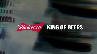 VannDa x Budweiser (BrewedOvernights) [Teaser]