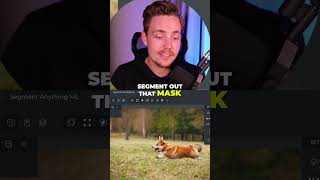 Celebrity Instant AI-Powered Object Segmentation Wealth