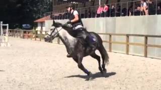 Premier concours Cisko 70 cm - correct !