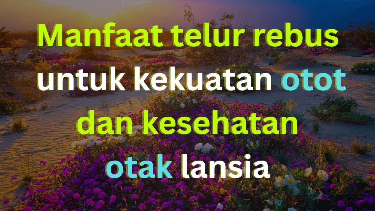 Lansia Wajib Tahu: Manfaat Telur Rebus untuk Otot Lebih Kuat dan Otak Tetap Sehat di Usia Senja