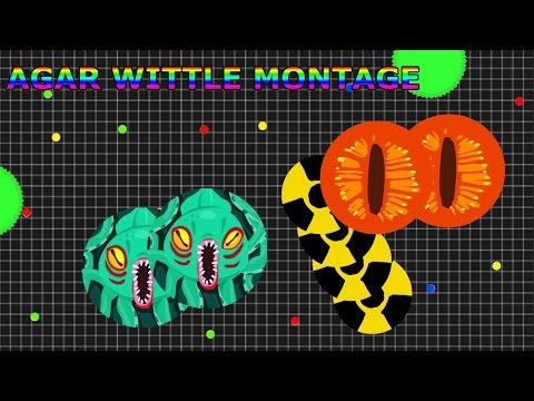Agar Wittle Montage - Agar.io Montage