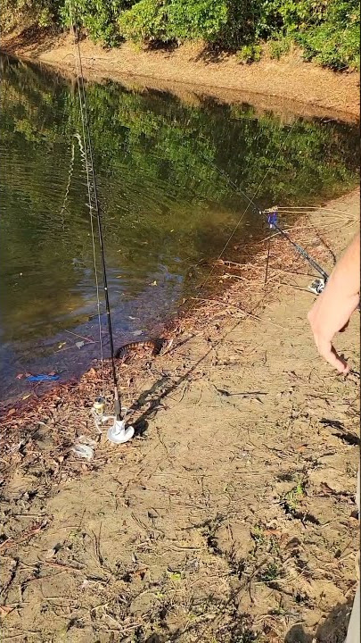 Oh, just fishing for snakes. 😆
