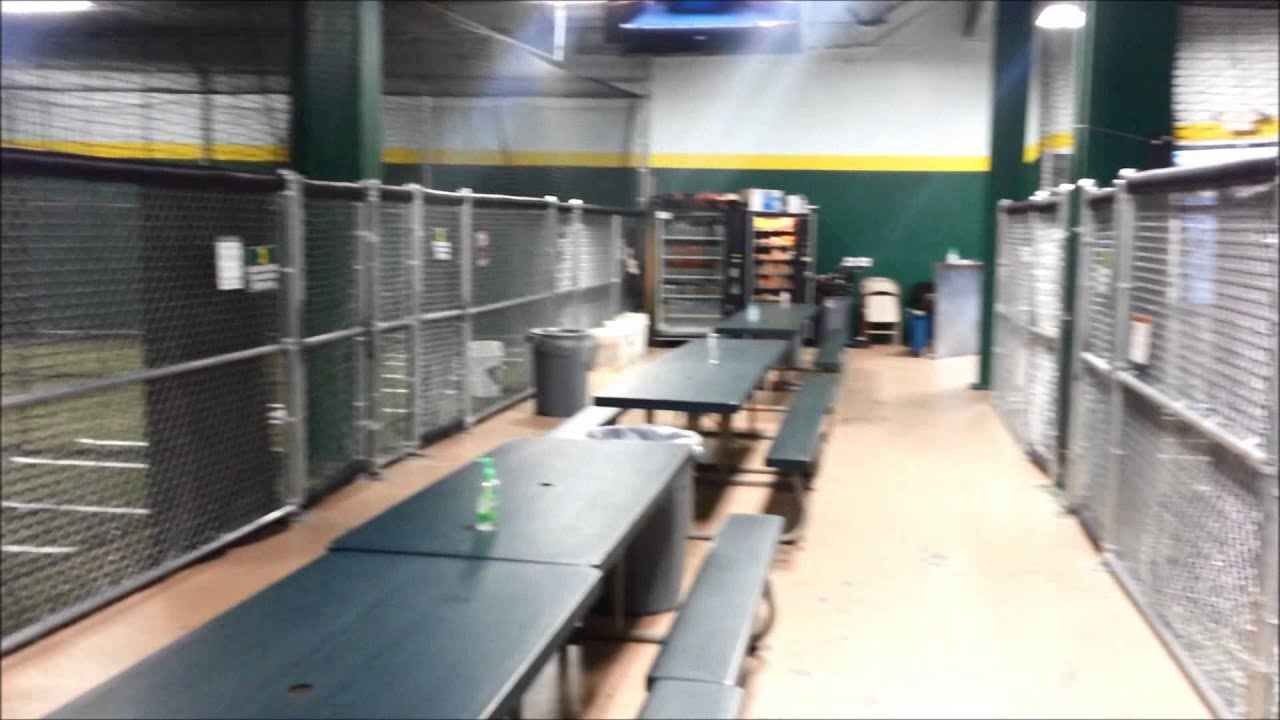 Premier Baseball Academy Inside YouTube