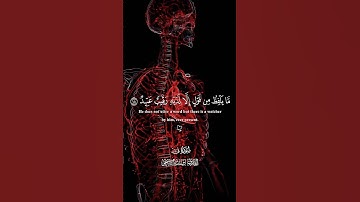 🎬 ولقَد خلقنَا الإنسانَ ونَعلمُ ما تُوَسوسُ به نفسُه | القارئ إسلام صبحي #تلاوة_خاشعة😴 تلاوات القرآن