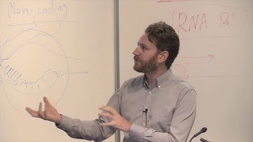 Digital Spirits in the Material World: Dynamic Physical Media for Interaction and Display