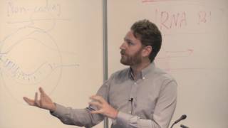 Digital Spirits in the Material World: Dynamic Physical Media for Interaction and Display