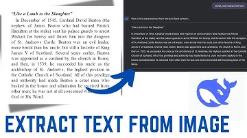 How To Extract Text From An Image With DeepSeek AI - No Errors
