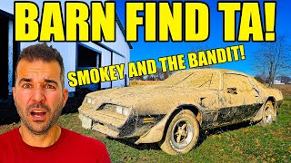 Download Lagu I Bought A Smokey And The Bandit Trans Am That Sat In A Barn  For 34 YEARS UNTOUCHED! Will It Start? MP3