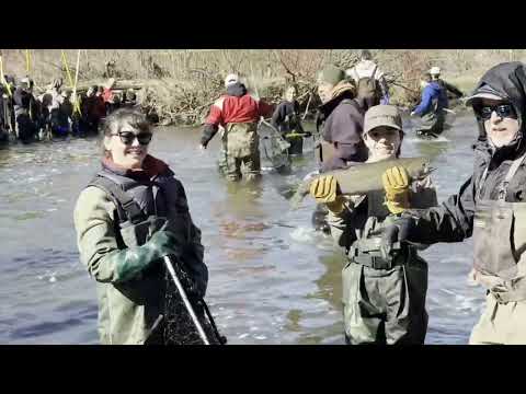 April 11, 2026 The Mill Pratts Pond Fish Lift Cobourg