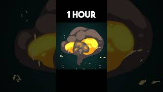 Explosion in 10 Sec v 10 Hours Wealth