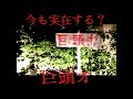 本当にあった2chの怖い話｜今も実在する？巨頭オと立ち入り禁止の山